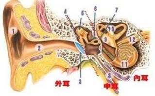 怎样才能挖到这么大块耳屎?恶心!但看着好爽啊!