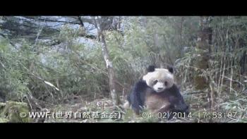 震惊众人的片段,惊呆众人的现场