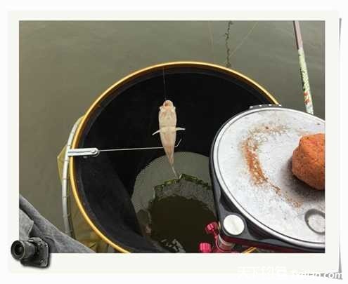 老地方钓鱼不好钓,五一抓鱼捕虾好去处