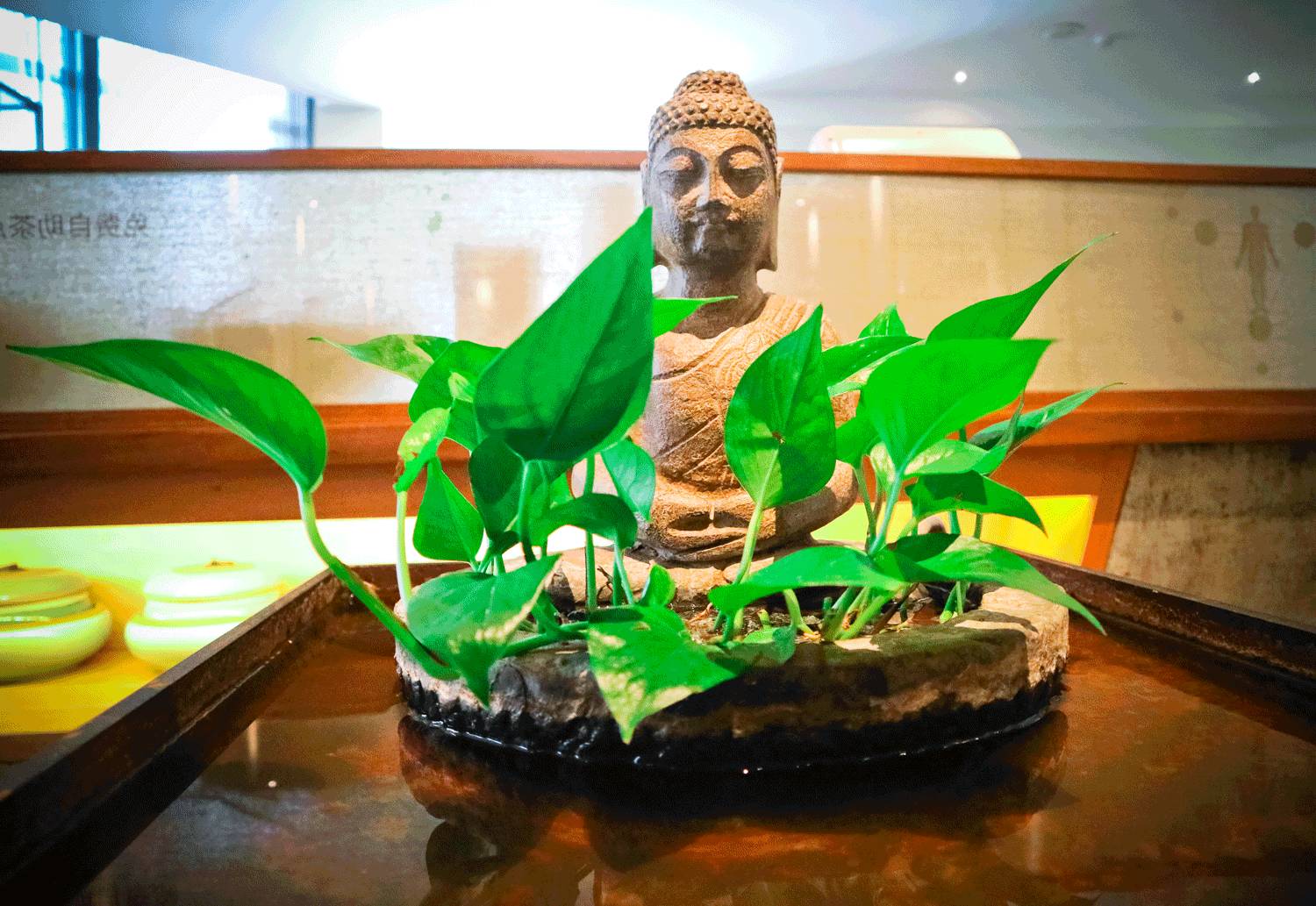 成都街边的足疗店,成都市足浴店哪家最好