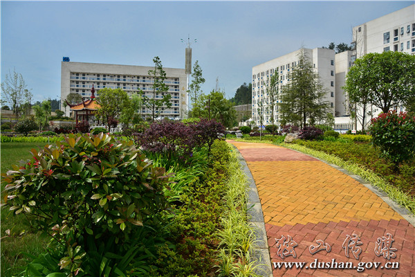 独山六中艺术节,独山一中体育节