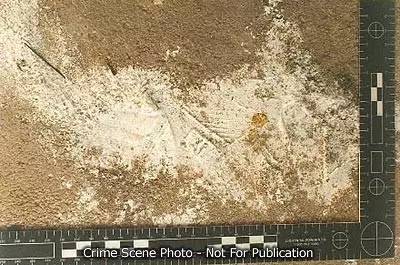 美国童星被杀案,美国童模被杀案