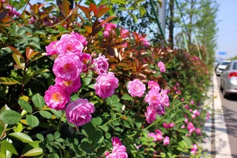宁波人多的景区,宁波不得不去的几个风景区