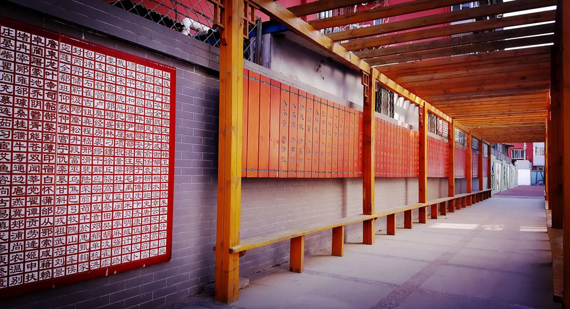 新优质学校展示会,新优质学校风采展示