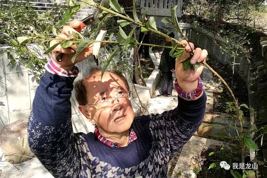 缇よ搐闆嗚仛,缇よ搐浜戦泦鍏辩瓚澶ф垚