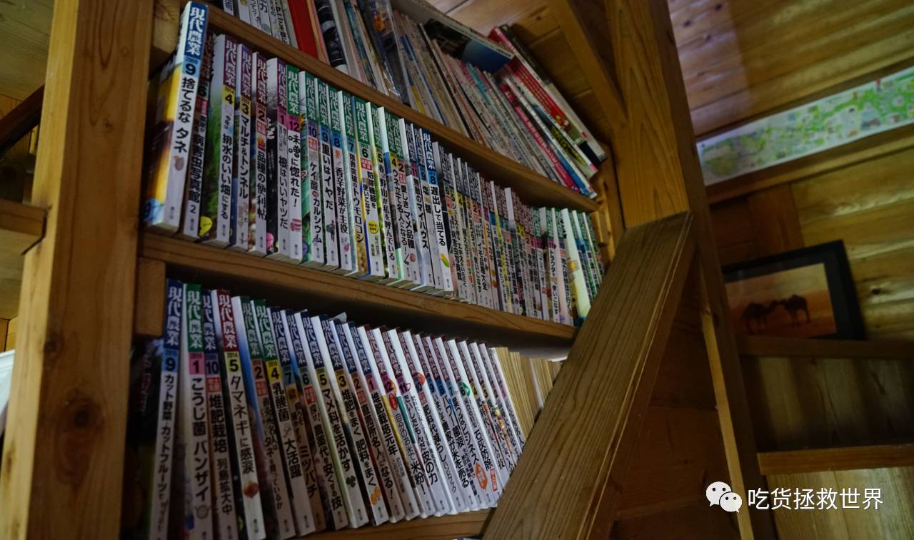 鎴戝湪妯辫姳灏忛晣,鍦ㄦū鑺遍鑸炵殑瀛ｈ妭