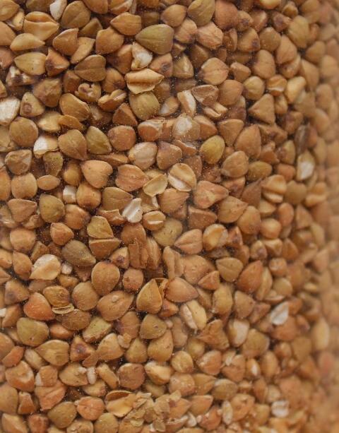 荞麦茶多少度好,荞麦茶适合什么样的人喝比较好