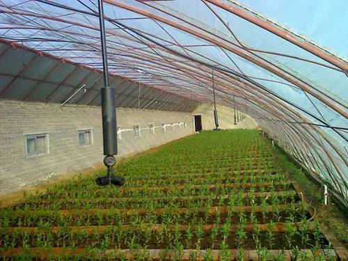 生态农业的好处,生态农业的优势