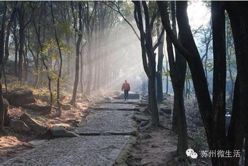 苏州最值得去的五个景点,苏州最值得去的10个景点排名