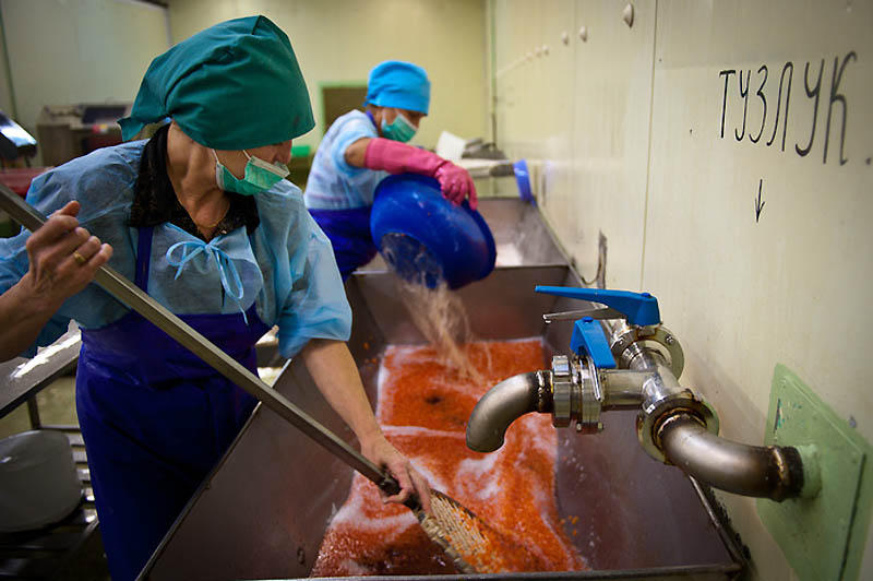 鱼子酱经典场面,带你探寻顶级鱼子酱的加工流程