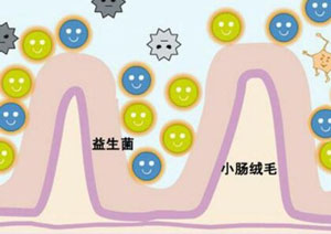 宝宝越大越难带是怎么回事,为什么两岁宝宝那么难带