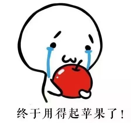 支付宝apple租手机是官方的嘛,在支付宝免押金租苹果手机的经历