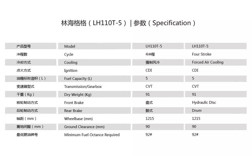 林海国四巧格踏板车测评,林海格格电喷踏板