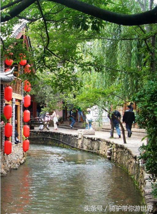 云南木府主人简介,云南木府电视剧