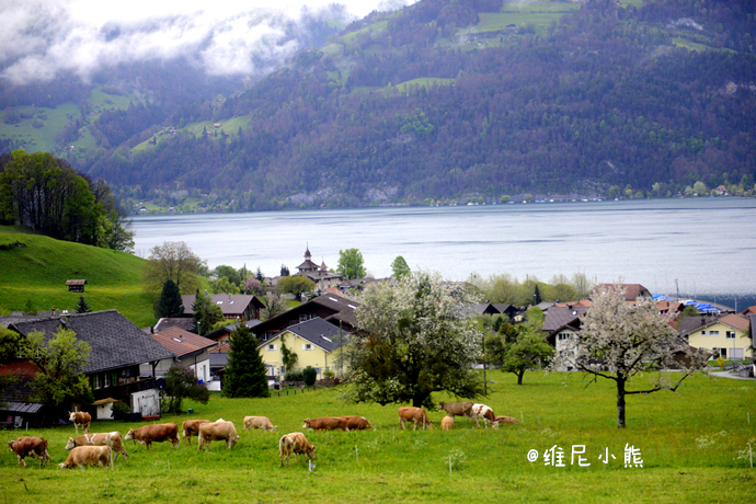 乘着邮轮奢华浪漫游欧洲四国