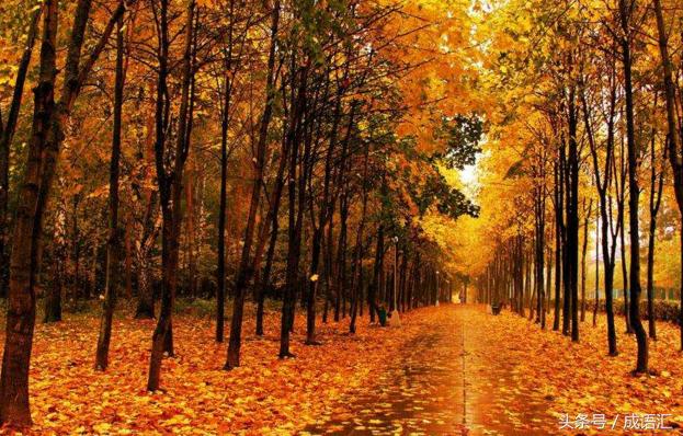 描写乡村风景的成语,描写风景的成语摘抄