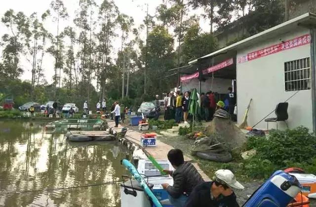 福建南平钓鱼大赛,福建南平郊野钓鱼大赛