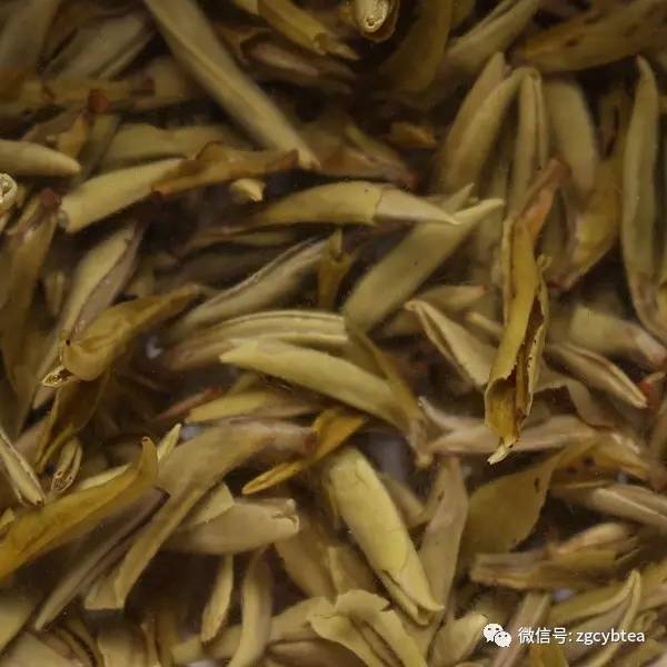 香浓茉莉绿茶推荐哪种茶叶,好喝的茉莉绿茶茶叶品种