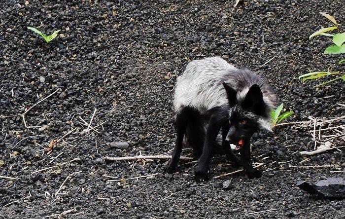 中华文化笔记9，先秦宗教小史（三）