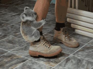 东莞老字号吃海鲜的店,东莞最好吃的海鲜