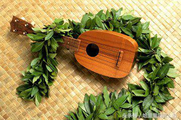 介绍一下尤克里里早期发展史