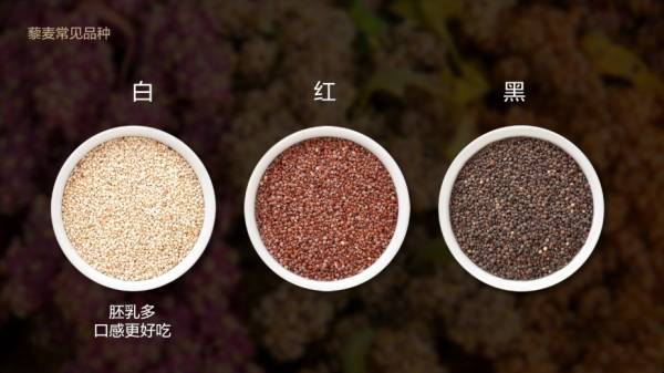 藜麦是炒作出来的吗,藜麦是伪营养吗