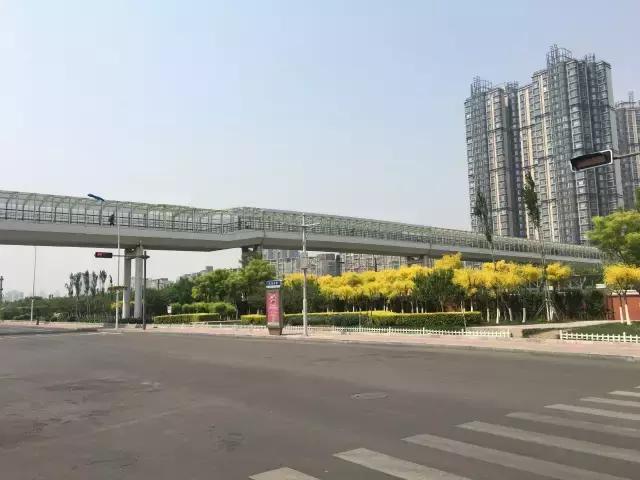 天津宝坻看房视频,天津看房记