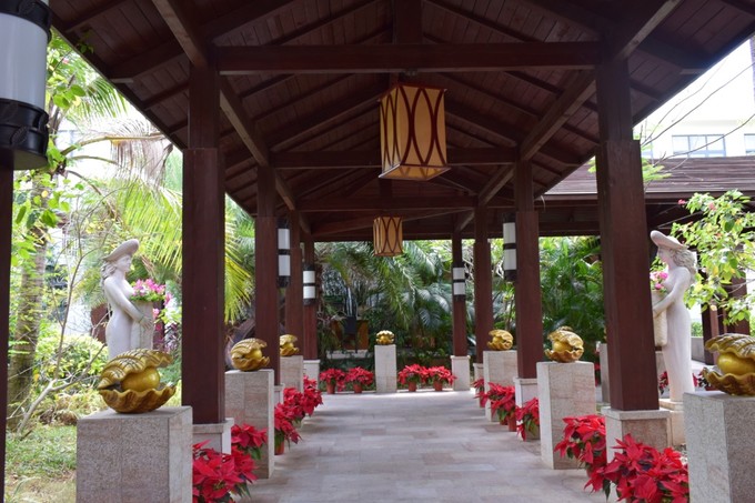 三亚蜜月旅行攻略大全视频,蜜月之旅三亚