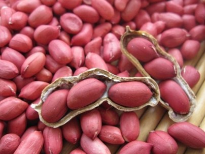 以食代药，把鼻腔流出来的血补回去