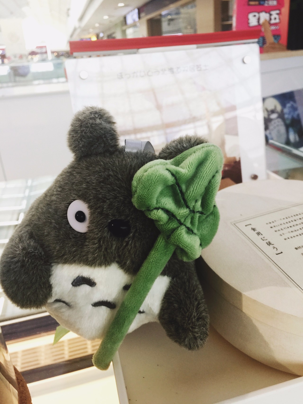 宫崎骏龙猫真实场景,龙猫宫崎骏背后的秘密