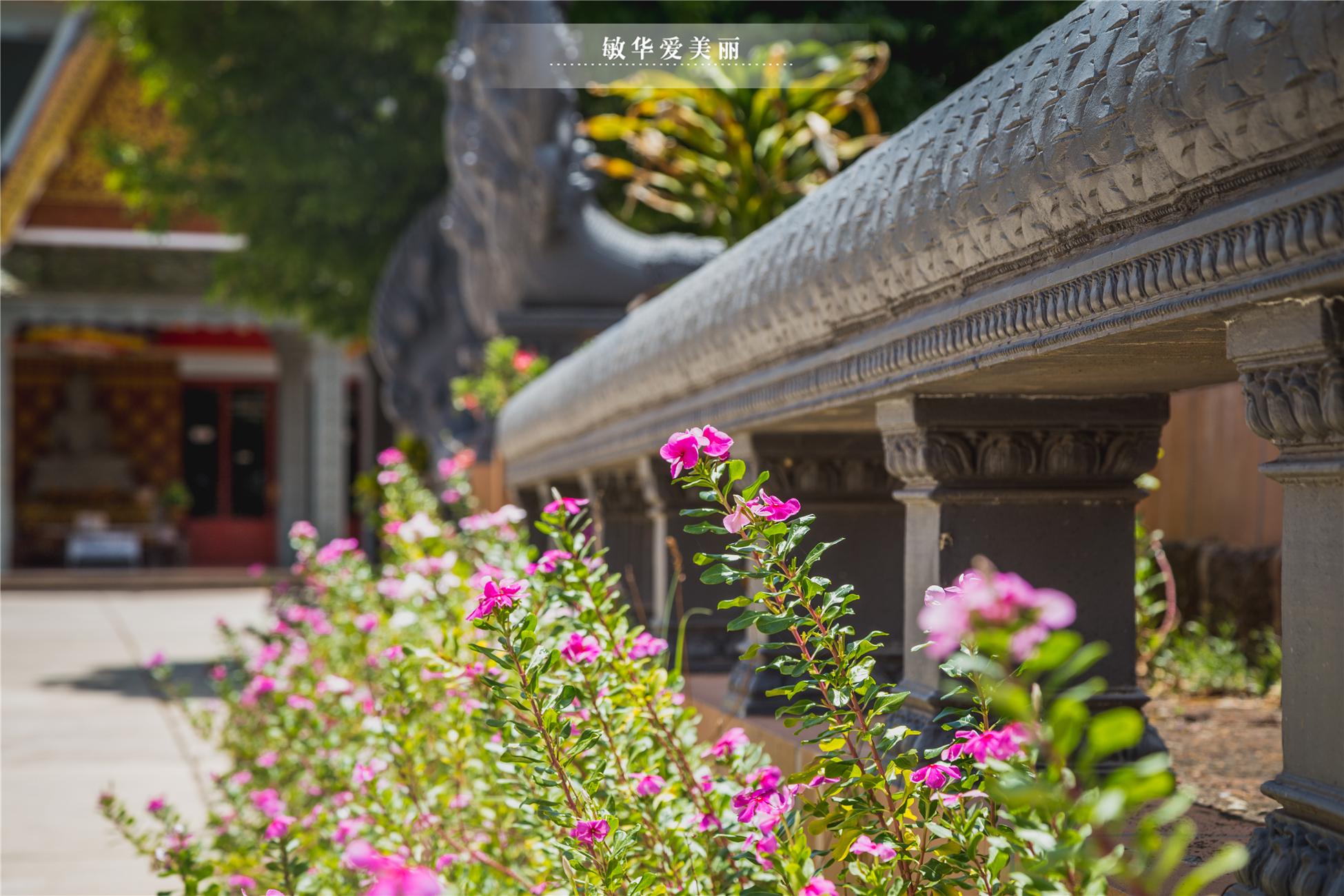 柬埔寨的传奇寺庙,历史上的柬埔寨寺庙