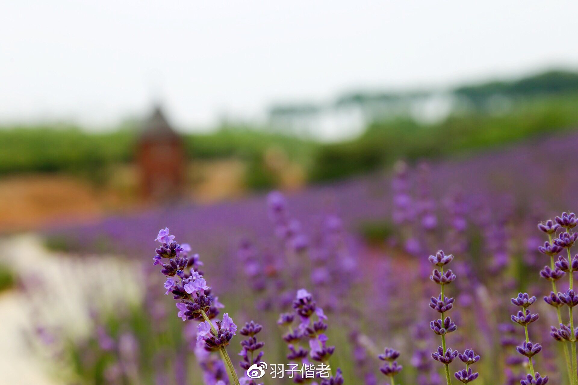 溧阳日日春农庄一日游,溧阳日日春农庄