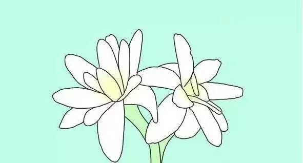 飞蚁飞进屋要下大雨了吗,飞蚁为啥要飞进屋子