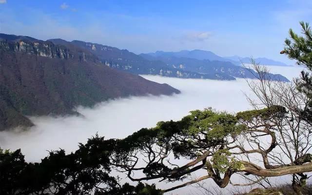 世界那么大,偏独爱神农架