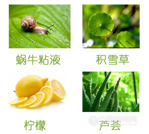 蜗牛焕颜cc霜,蜗牛亮肤无瑕修饰cc霜