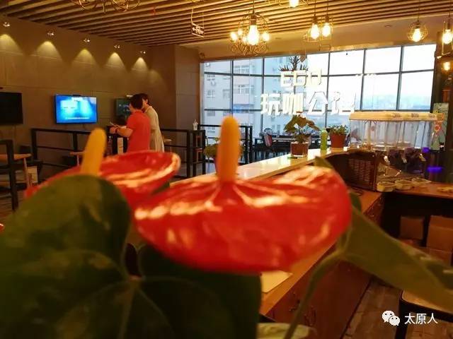 太原哪里玩狼人杀,太原的狼人杀馆