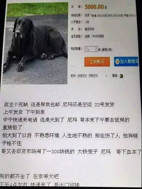 5000多买的狗发现是假的,在网上买的狗到底是什么狗