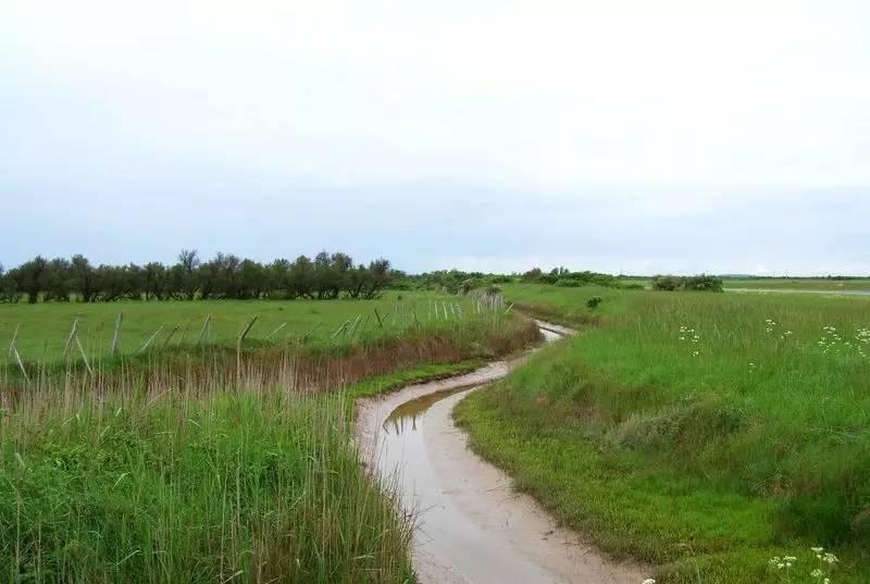 波尔多逆袭之路,波尔多葡萄酒发展过程