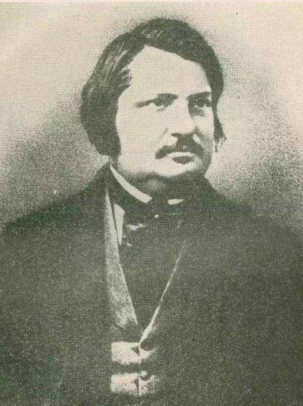 每日花语最新,每日花语火鹤花