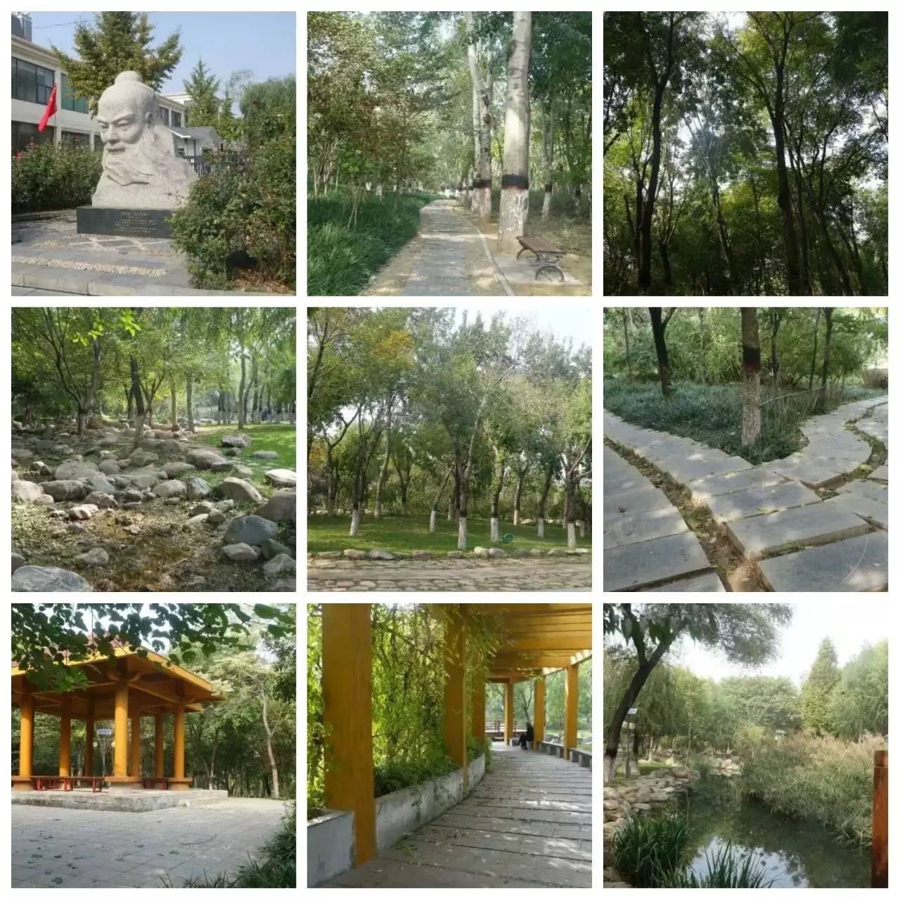 我用30万步,走遍石家庄公园