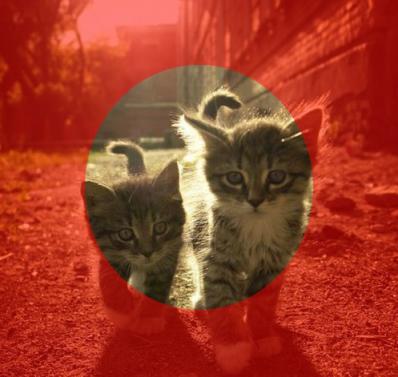 ps里蒙版怎么弄成选区,ps蒙版画笔的使用方法