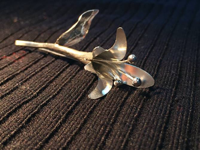 北京工业大学事件,北京工业大学研究生事件