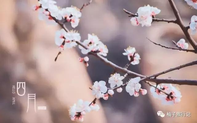 天津蓟县精品旅游,天津蓟县五盆沟景区好爬吗