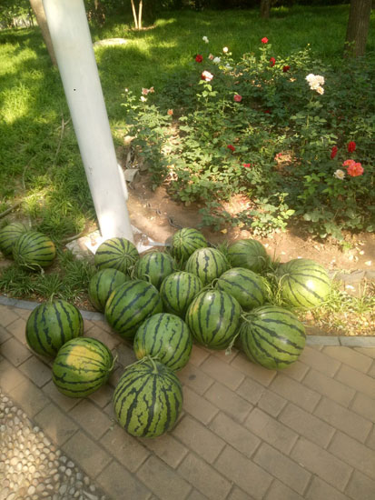 北大青鸟华腾校区,北大青鸟海淀华腾校区