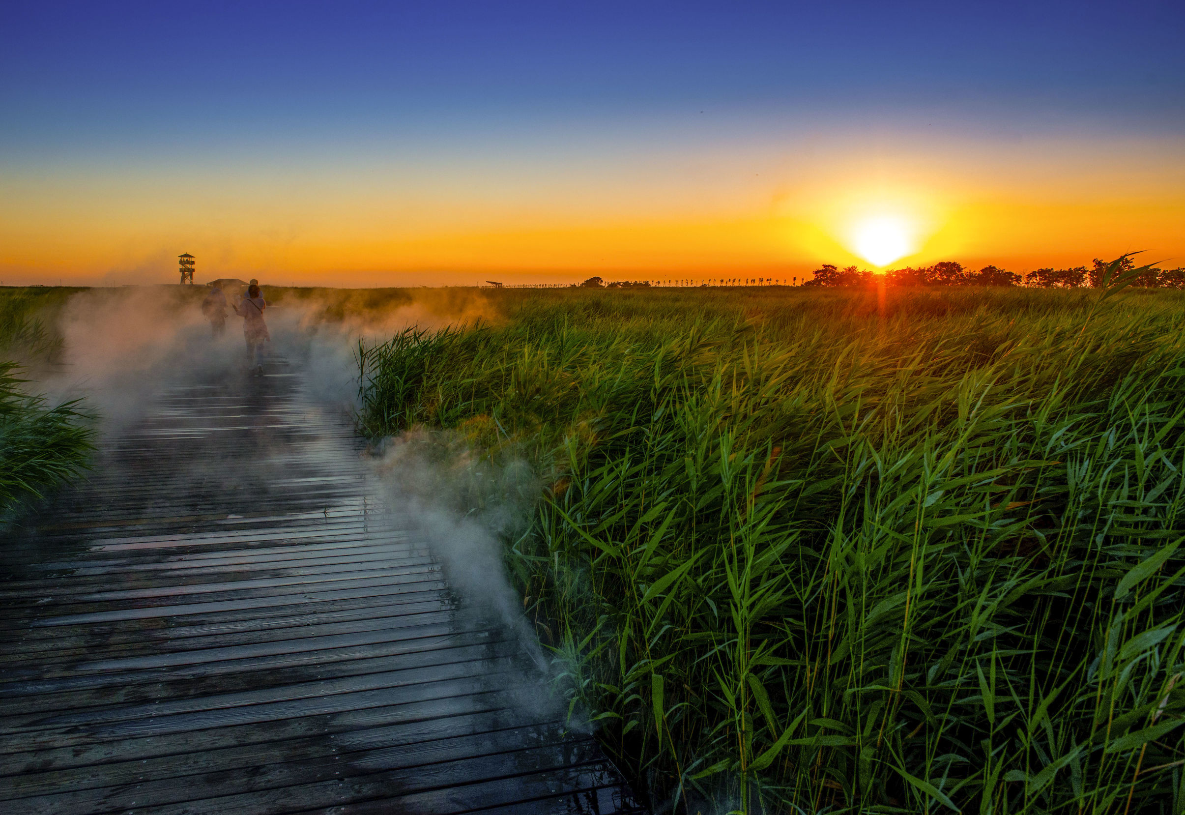 曹妃甸曹妃事件,曹妃甸区曹妃