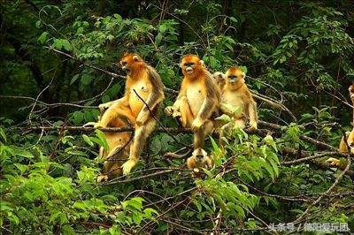 德阳端午周边游一日游,德阳周边游三天攻略