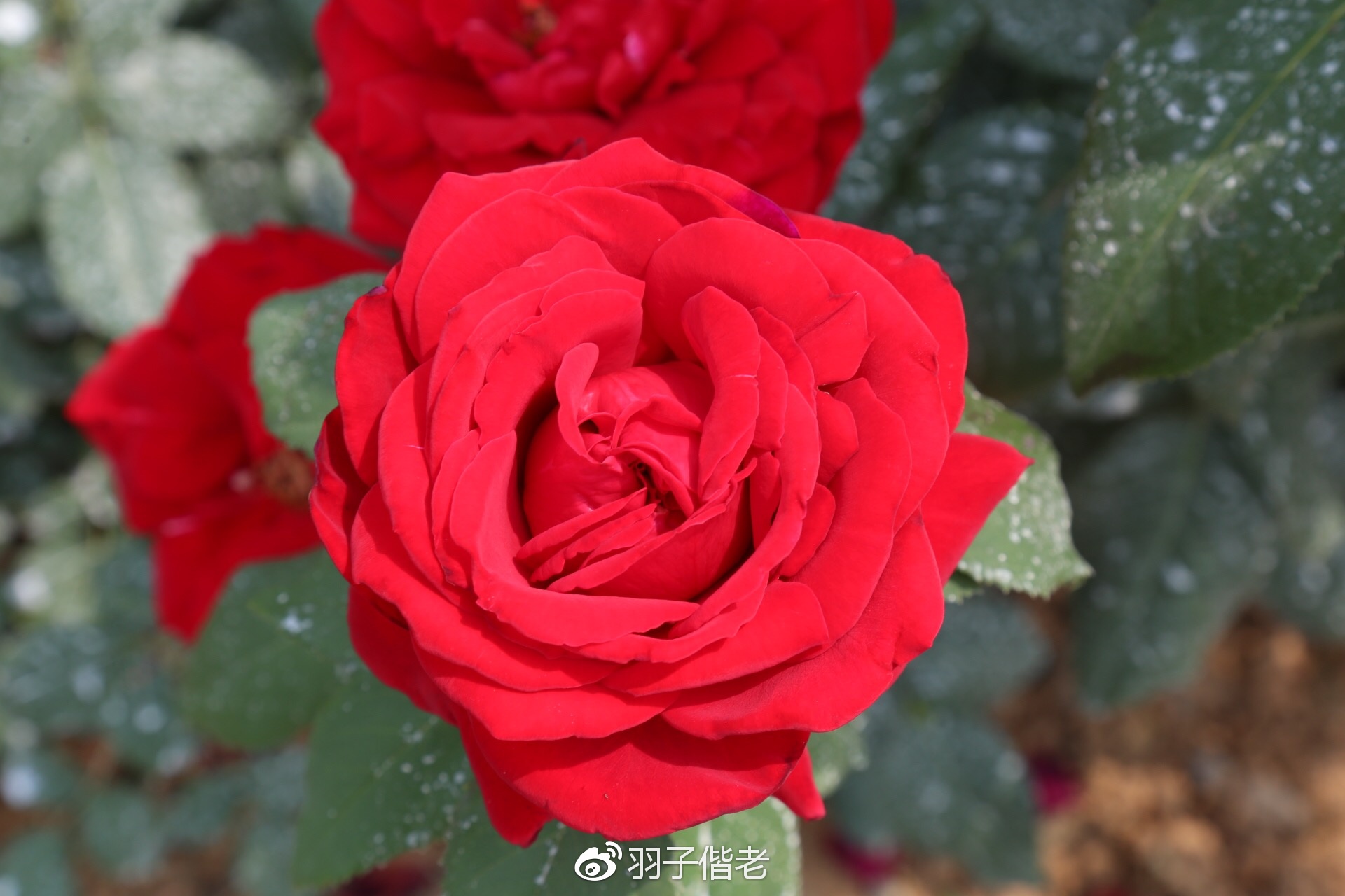 溧阳日日春农庄一日游,溧阳日日春农庄