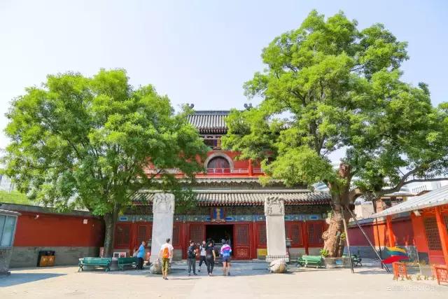 绝美的风景送给你,有一种风景叫朋友圈里的风景