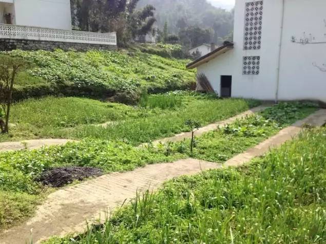 美食来咯完整视频,美食来啦这么多美食你吃过吗