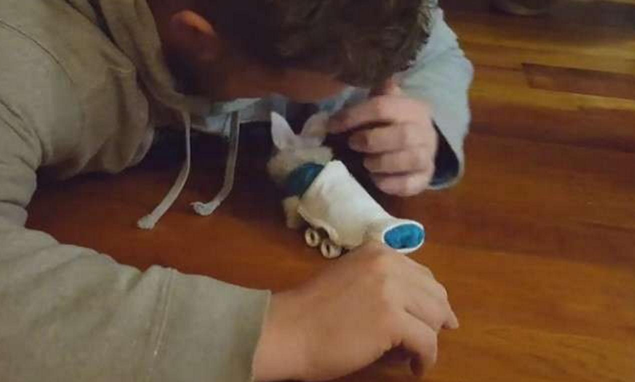 小兔灵机一动想出了一个办法,小兔子瘫痪